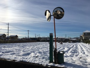 雪が積もっている写真