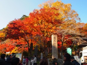 高尾山の写真