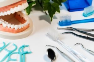 歯ブラシと顎模型の写真