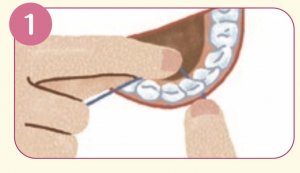デンタルフロスのポイント