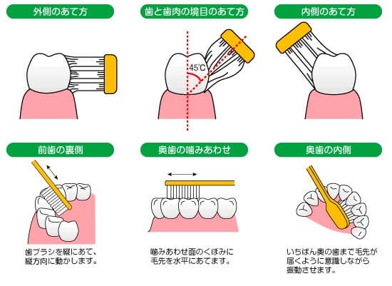 ブラシの当て方のポイントをのイラスト