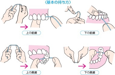 デンタルフロスの持ち方イラスト