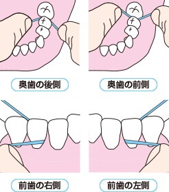 デンタルフロスの動かし方イラスト