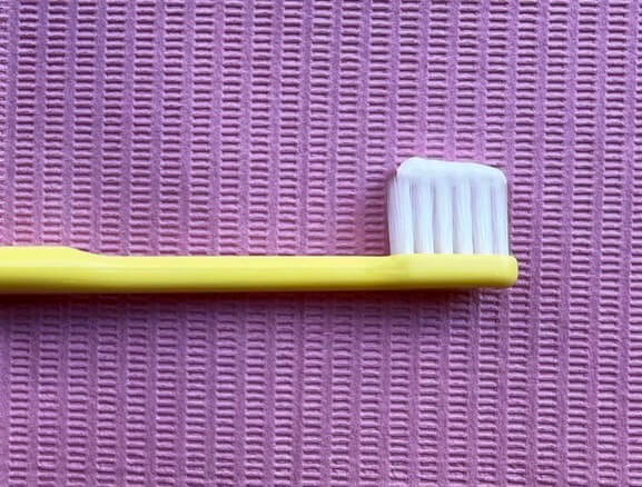 歯ブラシの写真3
